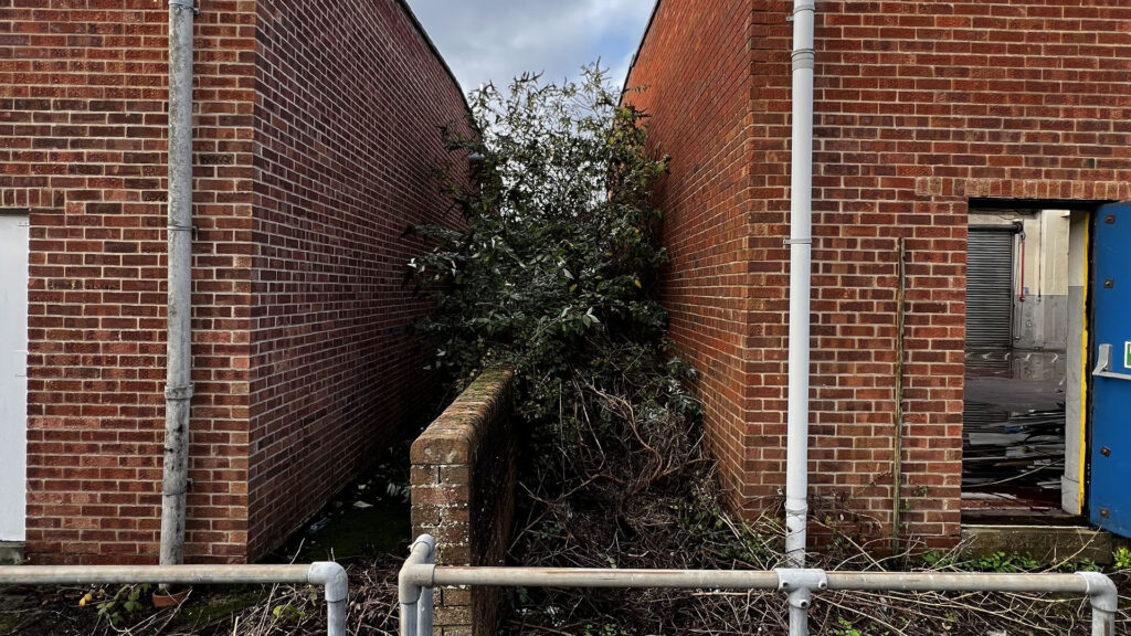 What Happens If You Ignore Party Wall Etiquette Southampton